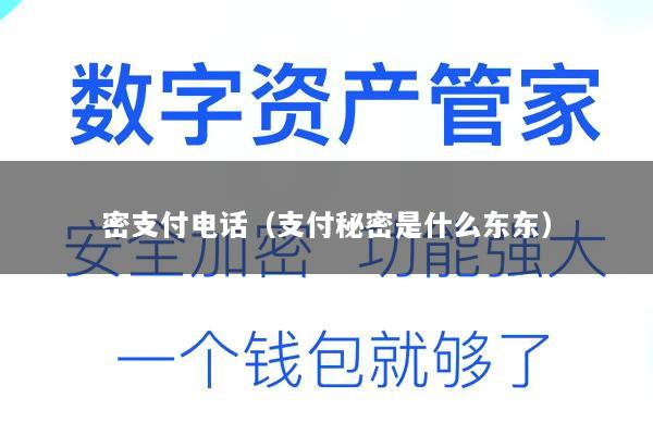 密支付电话(支付秘密是什么东东)