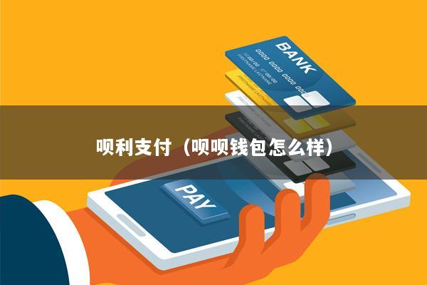 呗利支付(呗呗钱包怎么样)