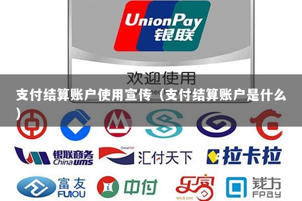 支付结算账户使用宣传(支付结算账户是什么)