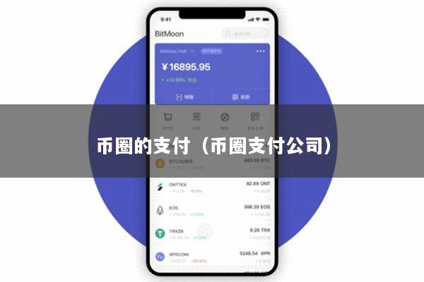 币圈的支付(币圈支付公司)