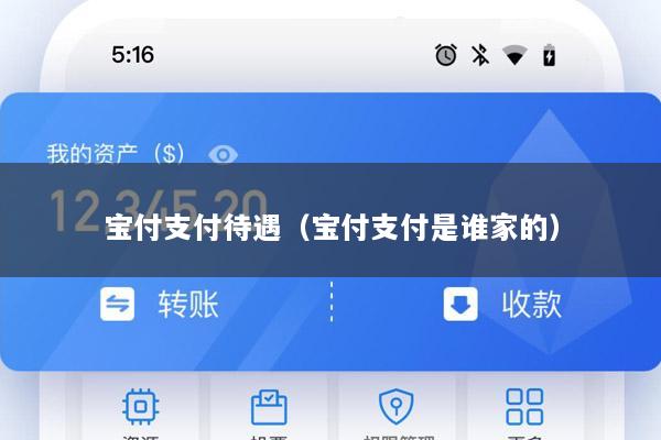 宝付支付待遇(宝付支付是谁家的)