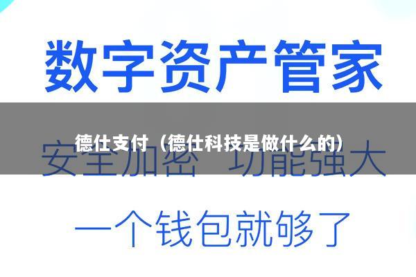 德仕支付(德仕科技是做什么的)