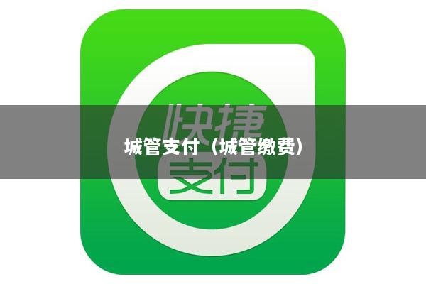 城管支付(城管缴费)