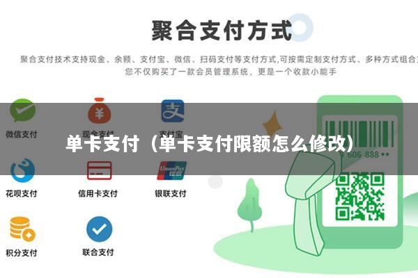 单卡支付(单卡支付限额怎么修改)