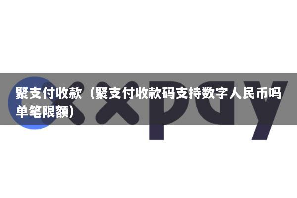 聚支付收款(聚支付收款码支持数字人民币吗单笔限额)