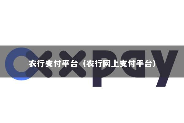 农行支付平台(农行网上支付平台)