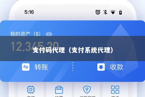 支付码代理(支付系统代理)