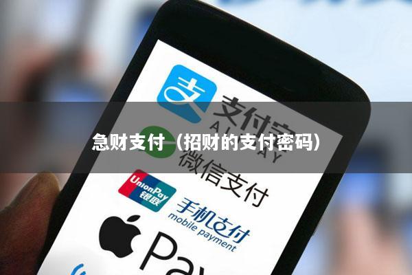 急财支付(招财的支付密码)