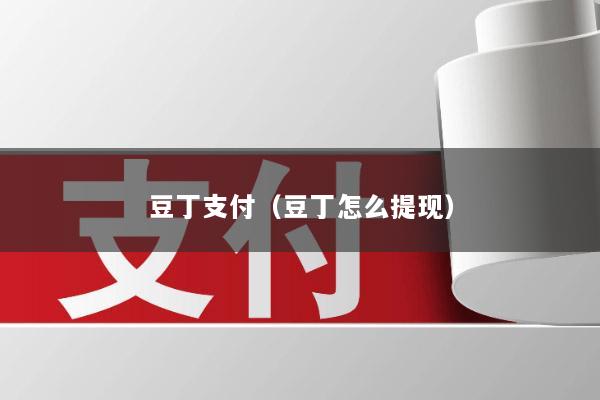 豆丁支付(豆丁怎么提现)