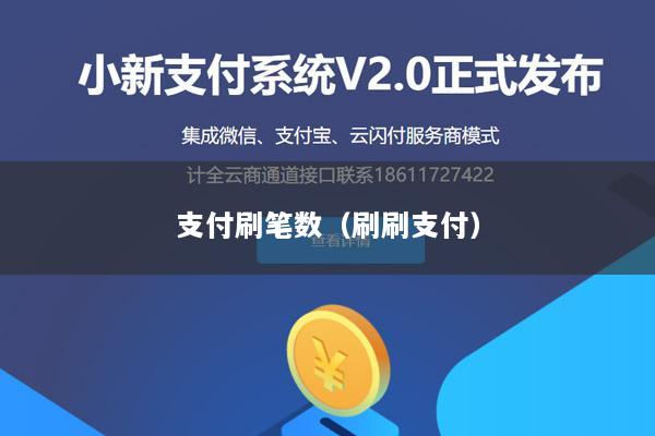支付刷笔数(刷刷支付)
