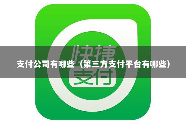 支付公司有哪些(第三方支付平台有哪些)