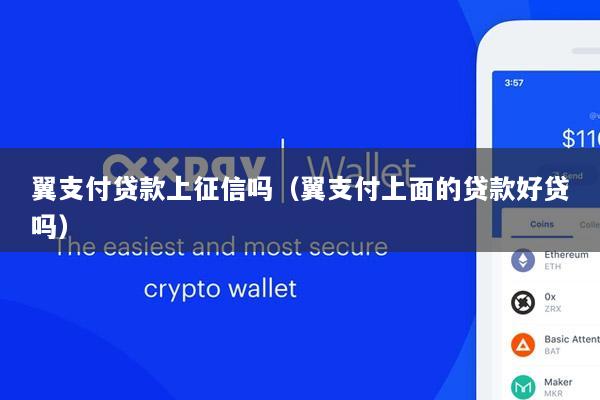 翼支付贷款上征信吗(翼支付上面的贷款好贷吗)