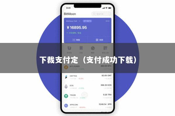 下裁支付定(支付成功下载)