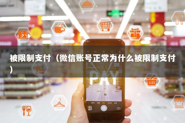 被限制支付(微信账号正常为什么被限制支付)