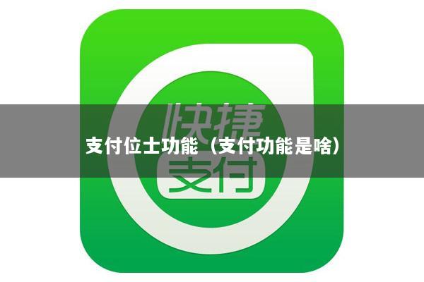 支付位士功能(支付功能是啥)