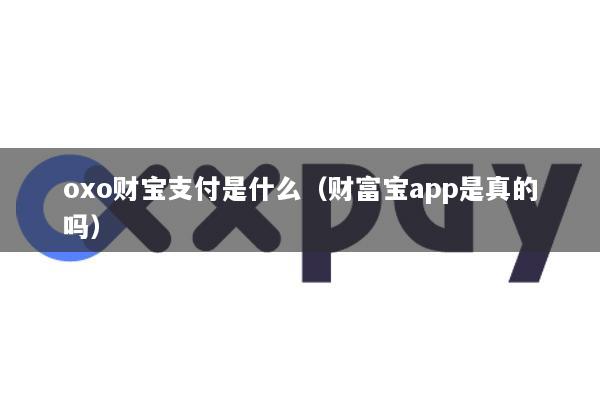 oxo财宝支付是什么(财富宝app是真的吗)