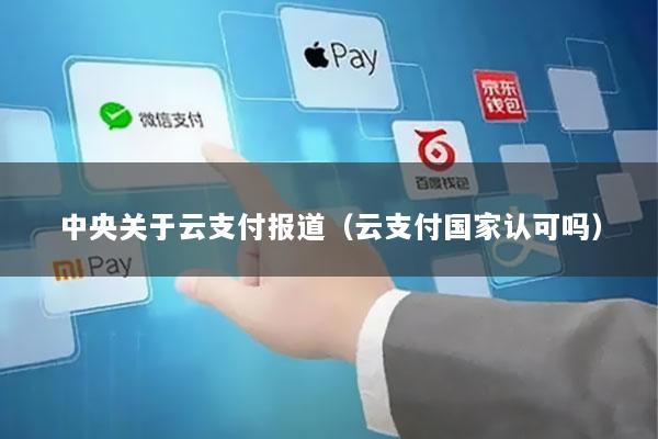 中央关于云支付报道(云支付国家认可吗)