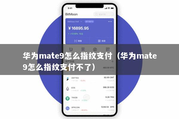 华为mate9怎么指纹支付(华为mate9怎么指纹支付不了)