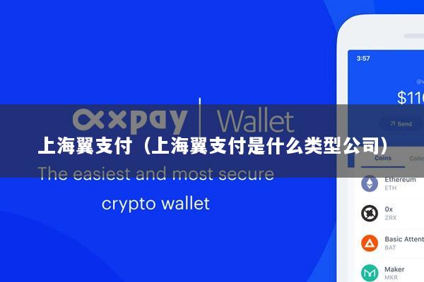 上海翼支付(上海翼支付是什么类型公司)