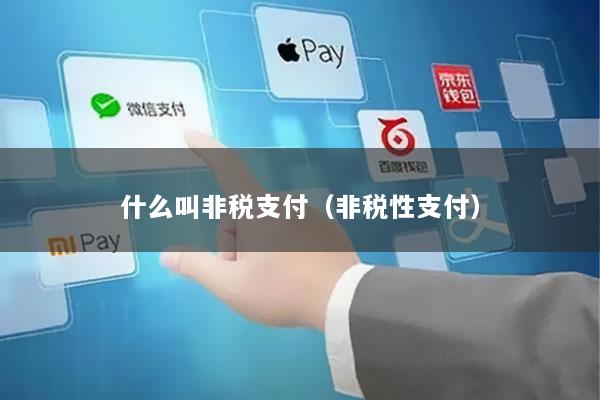 什么叫非税支付(非税性支付)