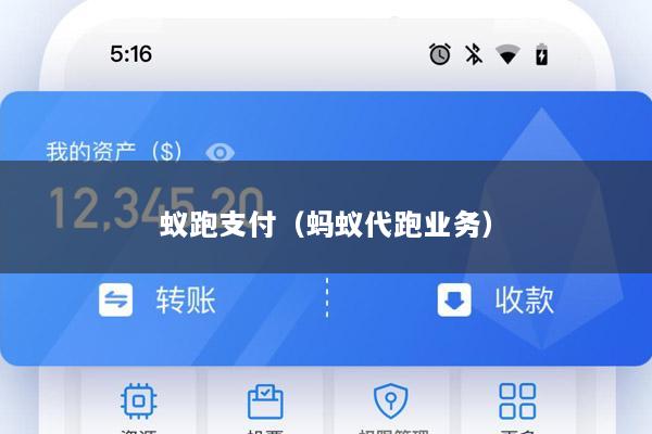 蚁跑支付(蚂蚁代跑业务)