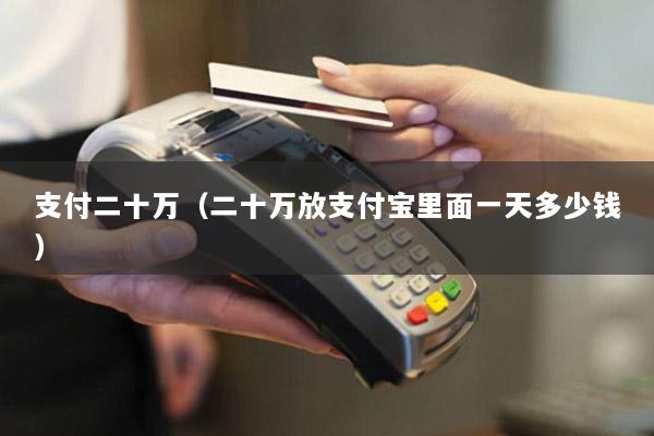 支付二十万(二十万放支付宝里面一天多少钱)
