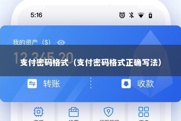 支付密码格式(支付密码格式正确写法)