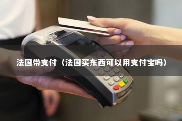 法国带支付(法国买东西可以用支付宝吗)