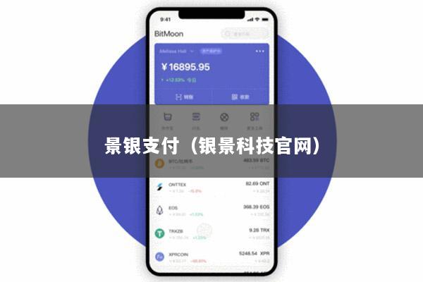 景银支付(银景科技官网)