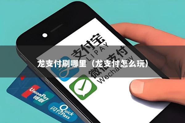 龙支付刷哪里(龙支付怎么玩)