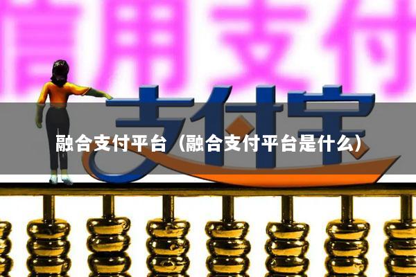融合支付平台(融合支付平台是什么)