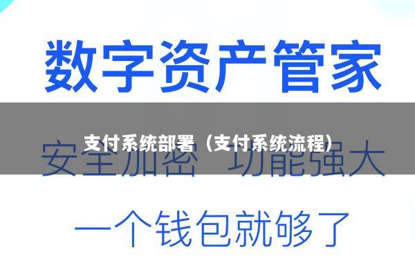 支付系统部署(支付系统流程)