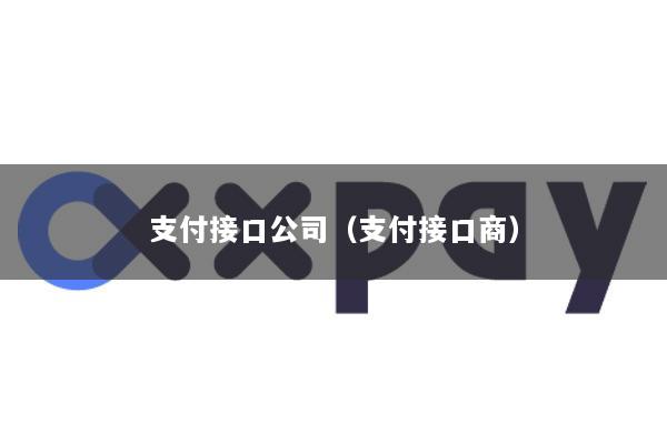 支付接口公司(支付接口商)