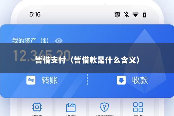 暂借支付(暂借款是什么含义)