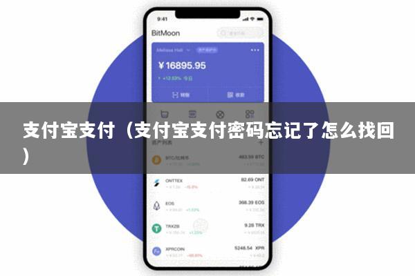 支付宝支付(支付宝支付密码忘记了怎么找回)
