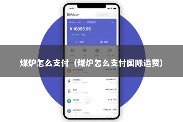 煤炉怎么支付(煤炉怎么支付国际运费)