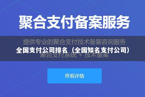 全国支付公司排名(全国知名支付公司)