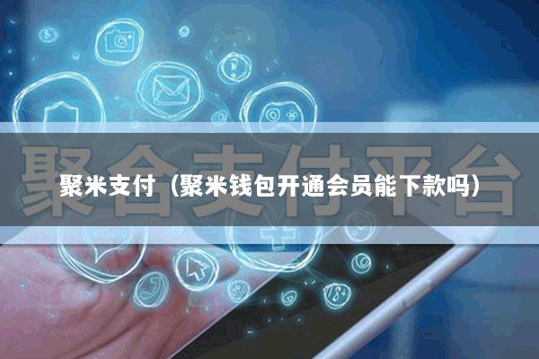 聚米支付(聚米钱包开通会员能下款吗)