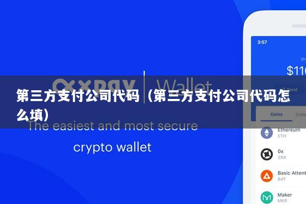 第三方支付公司代码(第三方支付公司代码怎么填)