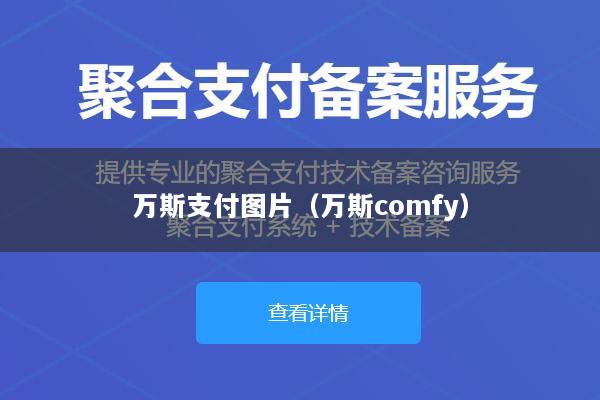 万斯支付图片(万斯comfy)