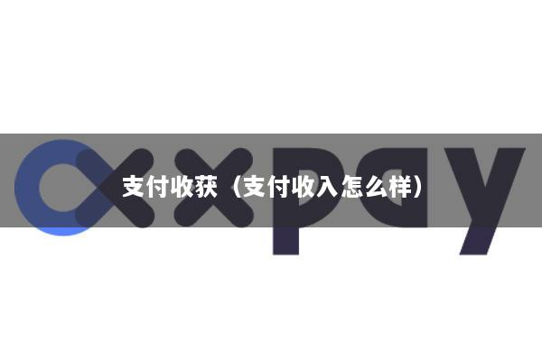 支付收获(支付收入怎么样)