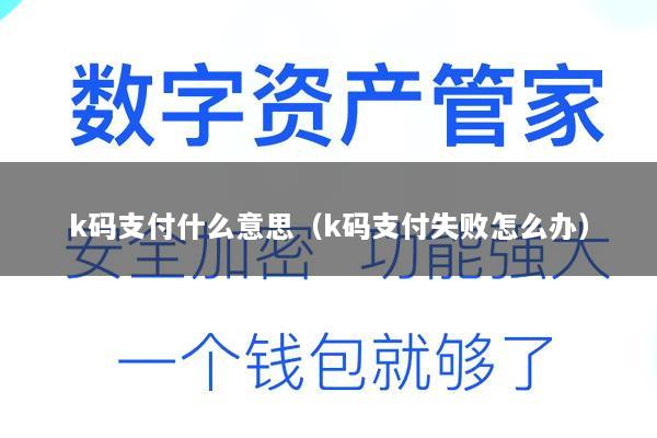 k码支付什么意思(k码支付失败怎么办)