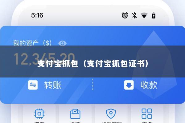 支付宝抓包(支付宝抓包证书)