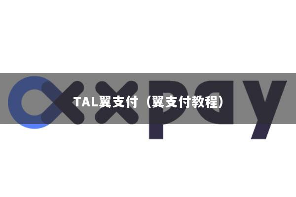 TAL翼支付(翼支付教程)