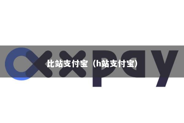 比站支付宝(h站支付宝)