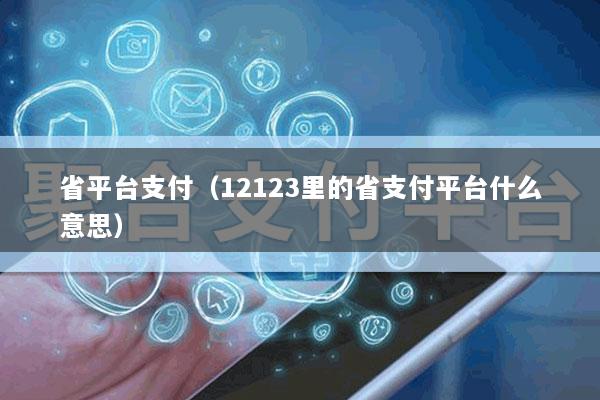 省平台支付(12123里的省支付平台什么意思)