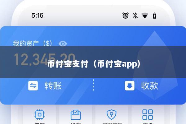 币付宝支付(币付宝app)