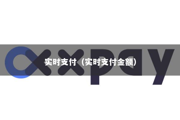 实时支付(实时支付金额)