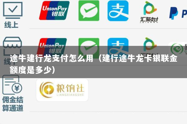 途牛建行龙支付怎么用(建行途牛龙卡银联金额度是多少)