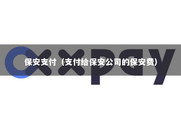 保安支付(支付给保安公司的保安费)